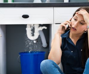 About Emergency plumbing pros Lupton, MI